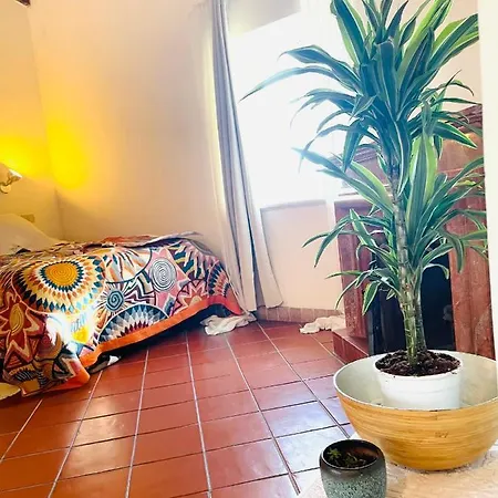 Turistico Anna Trivella Hagakure Apartment Calcata